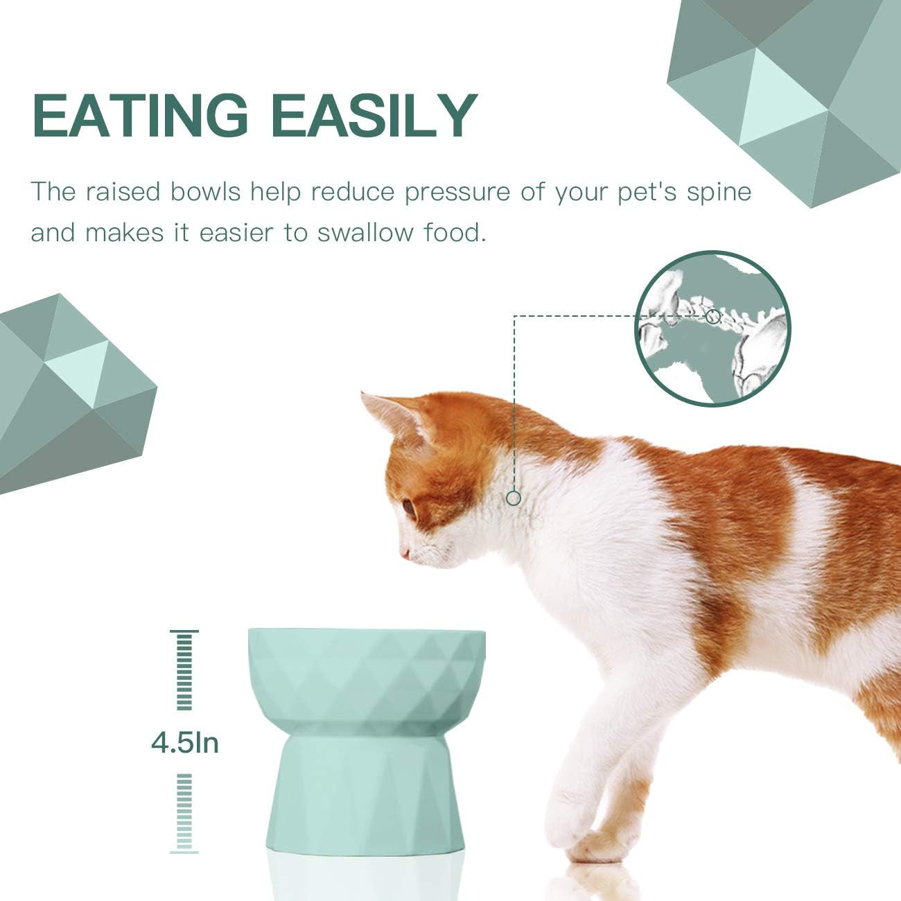 Cat Bowls,Ceramic Cat Bowls anti Vomiting,Raised Food and Water Bowl Set for Cats and Small Dogs,13.5 Oz,Green